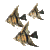 Fische_059