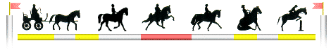 reiten050
